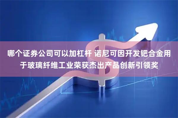 哪个证券公司可以加杠杆 诺尼可因开发钯合金用于玻璃纤维工业荣获杰出产品创新引领奖